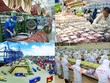 Khi cả nền Kl992 cổng game cá cược vào cuộc, GDP đã đột phá