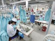 Tổng công ty Việt Thắng chào sàn HOSE từ 17/7