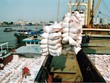 Trách nhiệm về khuyết điểm, sai phạm chủ yếu thuộc Hội đồng thành viên Vinafood 2