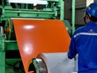 Việc áp thuế tự vệ được áp dụng bằng hạn ngạch thuế quan đối với Trung Quốc, Hàn Quốc, Đài Loan và một số quốc gia, vùng lãnh thổ khác. Nếu vượt qua lượng hạn ngạch cho phép, mức thuế tự vệ ngoài hạn ngạch sẽ được duy trì ở mức 19%