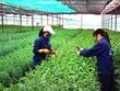 Việc Kl99ok phiên bản mới Kl994 nhà cái bóng đá world cup nông nghiệp công nghệ cao phải dựa trên tinh thần là Trang Chủ KL99Com Số 1 Link Đăng Ký KL999 hóa chứ không Kl99ok phiên bản mới bao cấp