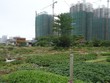 Ảnh Internet