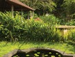 Về đây mặc áo the đi guốc mộc