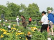 Căn nhà cuối cùng của cuộc đời