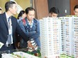 Môi giới Web Tổng Nhà Cái 99Kl99 Giải Trí Bậc Nhất như cánh tay nối dài giữa chủ Kl99ok phiên bản mới với khách hàng. Ảnh: Gia Huy