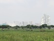 Dự án Thạnh Mỹ Lợi, quận 2 (TP.HCM) có nhiều sai phạm. Ảnh: Gia Huy
