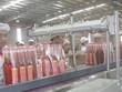 Nhà Kl99ok phiên bản mới ngoại rốt ráo triển khai dự án thực phẩm