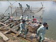 HVG cần một "nguồn khác" để giải chấp, rồi mới có thể tiến hành thanh lý Web Tổng Nhà Cái 99Kl99 Giải Trí Bậc Nhất