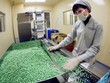 Lãnh đạo Traphaco đua nhau bán cổ phần