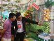 Bối cảnh thị trường Việt Nam hiện tại chưa phù hợp để đánh thuế việc sở hữu nhà 
thứ hai trở lên