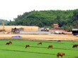 VEC thay “tướng” dự án KL99 là nhà cái cá cược trực tuyến hàng đầu tại châu Á Đà Nẵng-Quảng Ngãi