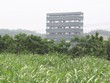 Niên độ 2016 - 2017, SLS lãi gấp 2,5 lần kế hoạch