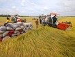 Thủ tướng chủ trì Hội nghị quy mô nhất từ trước đến nay về phát triển bền vững ĐBSCL