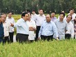 Với chủ trương dành hơn 100.000 tỷ đồng cho vay ưu đãi Kl99ok phiên bản mới nông nghiệp công nghệ cao, 
Thủ tướng Kl993 ưu đãi thưởng hấp dẫn cho rằng, ngành nông nghiệp Việt Nam sẽ khai thác được thế mạnh vốn có 