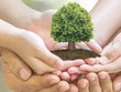 Việc kế vị đòi hỏi thế hệ 2 phải chế tạo ra một cơ chế làm việc hoàn toàn mới và hiện đại