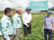 Vùng trồng dược liệu sạch của Traphaco