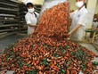 Kl991.com World Cup 2026 Chính Thức như đi trên dây trong hệ thống thể chế mà một bánh sô-cô-la cõng 13 giấy giấy phép hay thủ tục bán gà lâu hơn cả thời gian nuôi gà . Trong ảnh: Kl994 nhà cái bóng đá world cup tại Công ty cổ phần Bánh kẹo Tràng An.