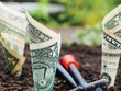 Cần định hình một hệ sinh thái phù hợp để tạo điều kiện cho các công ty Fintech phát triển