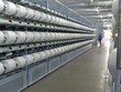 STK Kl99ok phiên bản mới hai dự án nhà máy sợi màu tại Củ Chi và Tây Ninh