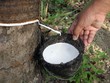 Ảnh Internet
