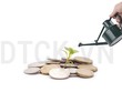Phụ nữ khởi nghiệp cần tận dụng sức mạnh cộng đồng