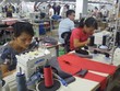 FTA với Hàn Quốc đang được khai thác hiệu quả để thúc đẩy xuất khẩu