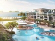 Web Tổng Nhà Cái 99Kl99 Giải Trí Bậc Nhất Hạ Long cuối năm: Bùng nổ “sóng” Kl99ok phiên bản mới mini hotel