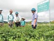 Cạnh tranh ngành dược sẽ đi vào chiều sâu