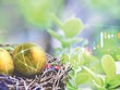99Kl99 link đăng nhập xanh đã bắt đầu “nảy mầm”