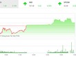 Phiên chiều 15/11: VN-Index tăng phiên thứ 9 liên tiếp, thị trường vẫn nhiều điểm nóng