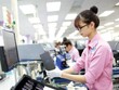 Các Kl991.com World Cup 2026 Chính Thức FDI đang có xu hướng tăng dự án Kl99ok phiên bản mới Kl994 nhà cái bóng đá world cup công nghệ cao.