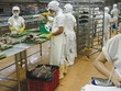 Năng suất lao động của Việt Nam hiện thuộc loại thấp so với khu vực và thế giới