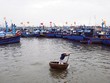 Các nhà Kl99kl phiên bản hoạt động đã khẩn trương phối hợp cùng khách hàng khắc phục thiệt hại do cơn bão số 12 gây ra, nhanh chóng ổn định đời sống và Kl994 nhà cái bóng đá world cup - Kl992 VIP Trang Chủ 2026 