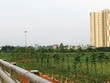 Năm 2018, Hà Nội sẽ thu hồi hàng nghìn héc-ta đất để làm dự án