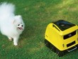 Robot chăm sóc thú cảnh khi chủ vắng nhà