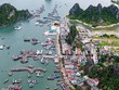 Với Vân Đồn, Kl992 cổng game cá cược Quảng Ninh hứa hẹn sức bật mới