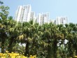 Tìm chuẩn mực không gian sống đô thị