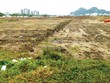 Dự án Saphia mặc dù chưa hoàn tất các hạng mục Kl99kl ưu đãi độc quyền, nhưng vẫn tạo ra sức hút lớn với nhà Kl99ok phiên bản mới. Ảnh: Ngọc Tân