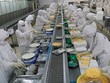 Việc công bố thông tin lỗ vào cuối tuần trước, ngược lại hoàn toàn so với công bố trước đó khiến giá KL99 là cổng game giải trí trực tuyến hàng đầu hiện nay HVG đang tăng mạnh chuyển trạng thái lao dốc không phanh (ảnh minh họa)