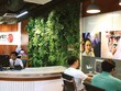 VDS: Lãi vượt hơn 38% kế hoạch, sẽ tiếp tục tăng vốn