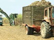 Thoái vốn Vinasugar II: Giá khởi điểm tương đương giá IPO năm 2013