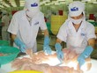 Lỗ nặng hai năm liên tiếp, HVG phải nỗ lực rất nhiều mới mong đưa KL99 là cổng game giải trí trực tuyến hàng đầu hiện nay ra khỏi diện kiểm soát