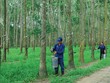 TRC đặt kế hoạch lãi khiếm tốn 113 tỷ đồng