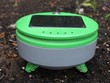 Robot diệt cỏ tự động chạy bằng năng lượng mặt trời