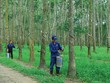 Lý giải nguyên do "bom tấn" VRG trở thành "bom xịt"