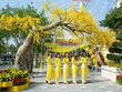 Những điểm chơi Tết 2018 nhất định phải ghé
