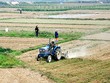 Đất nông nghiệp chiếm tỷ lệ gần 75% diện tích đất tỉnh Quảng Ninh