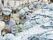 Với tác động của việc cắt giảm thuế quan, CPTPP có thể nâng mức tăng GDP thêm 1,32%, tương đương với 1,7 tỷ USD
