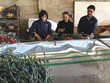 Hỗ trợ các “đầu tàu” nông nghiệp sạch, ứng dụng công nghệ cao