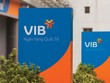 VIB dự kiến chia 99Kl.app mobile mới nhất là 5% bằng tiền mặt và 31% bằng KL99 là cổng game giải trí trực tuyến hàng đầu hiện nay thưởng cho Trang Chủ KL99Com Số 1 Link Đăng Ký KL999
